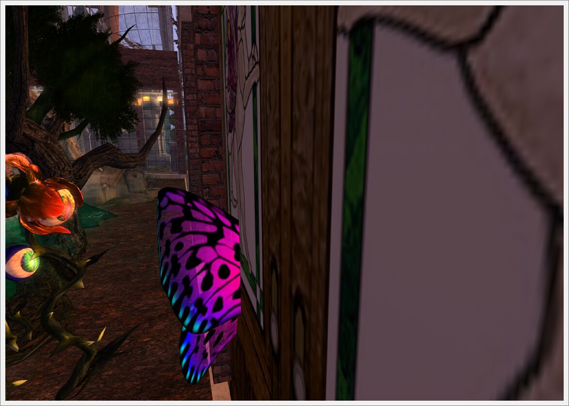 Snapshot_001 (2)